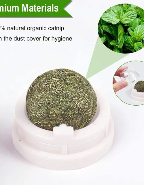 Load image into Gallery viewer, Catnip Wall Ball Toys For Cats

