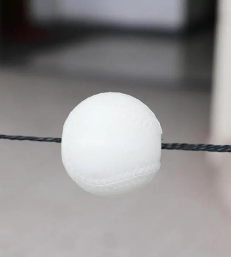 Softball Pitch Trainer