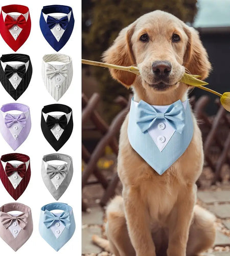 Fashionable Tuxedo Bow Tie For Pets