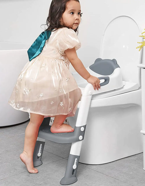 Load image into Gallery viewer, Potty Training Ladder Seat Reducer
