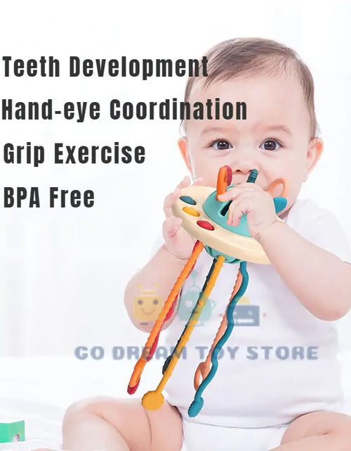 Load image into Gallery viewer, Sensory Development Baby Toys
