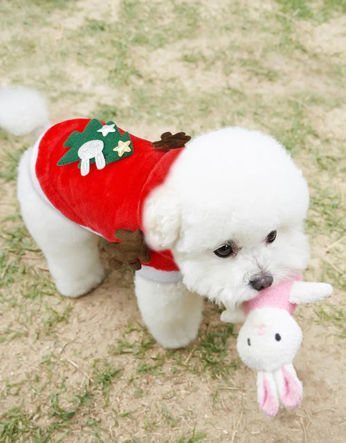 Load image into Gallery viewer, Christmas Cat Clothes Small Dogs Cats Santa Costume
