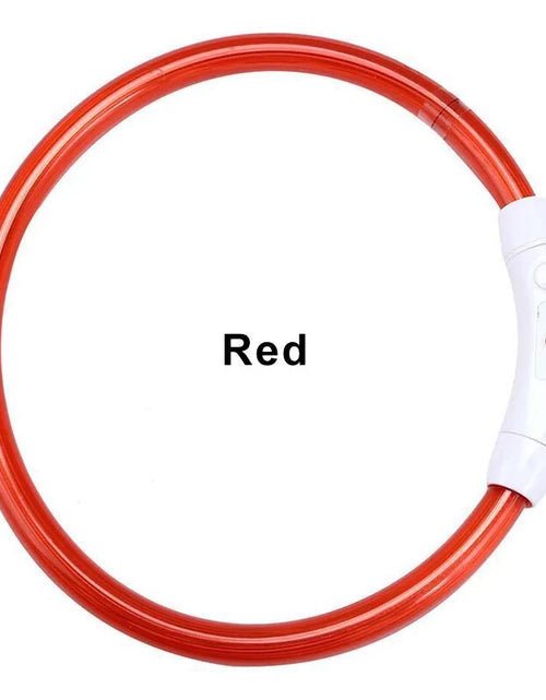Load image into Gallery viewer, LED Collar Night Safety For Pets
