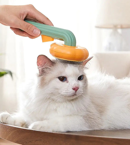 Cats Pumpkin Grooming Brush