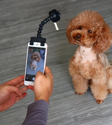 Selfie Stick For Pets Dog Cat