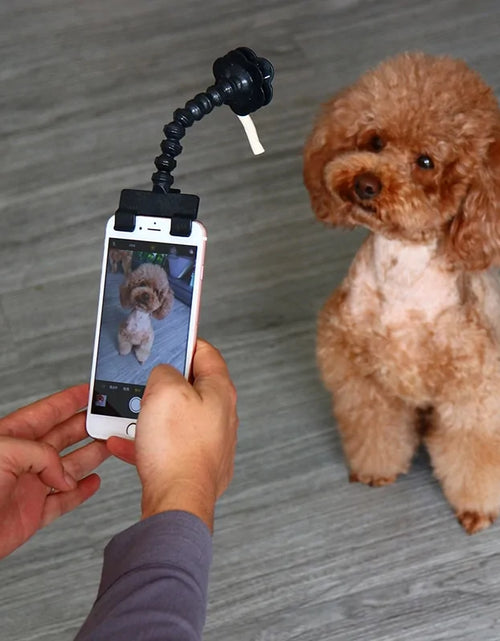 Load image into Gallery viewer, Selfie Stick For Pets Dog Cat
