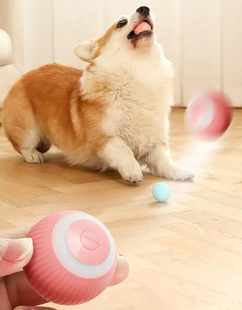 Load image into Gallery viewer, Electric Dog Toys Smart Puppy Ball Toys For Cat Small Dogs Funny Auto Rolling Ball Self-moving Puppy Games Toys Pet Accessories
