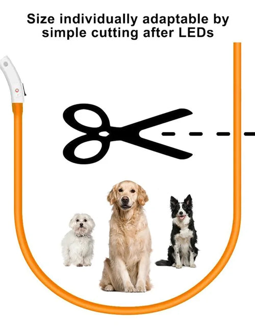 Load image into Gallery viewer, LED Collar Night Safety For Pets

