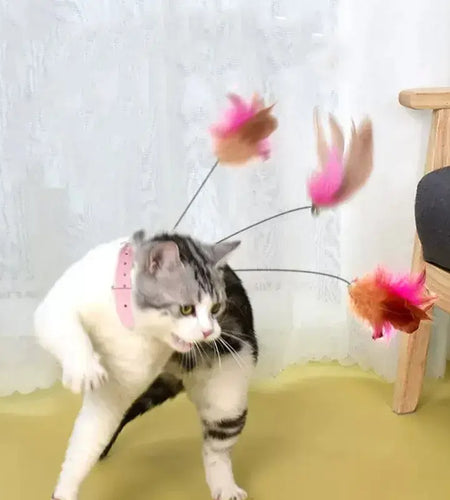 Pets Collar Kitten Playing Teaser Wand