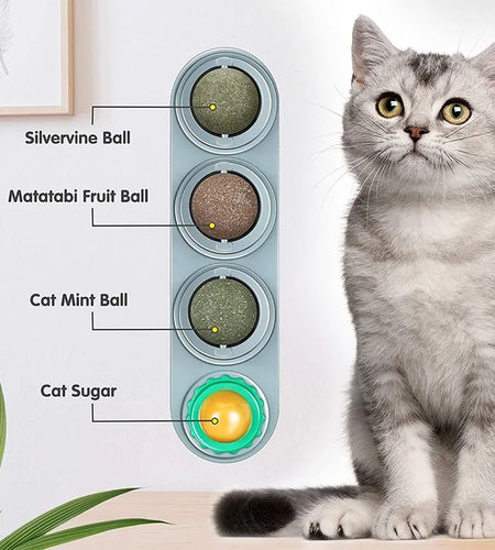 Catnip Wall Ball Toys For Cats