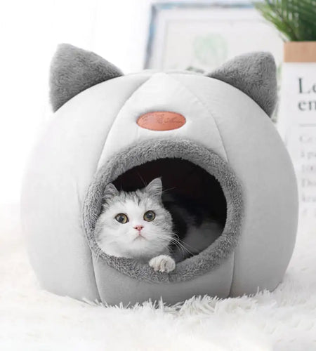 Cat Bed