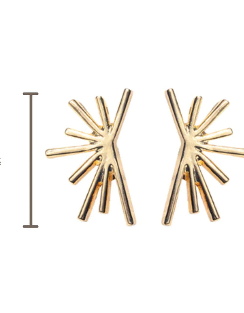 Load image into Gallery viewer, Cat Earrings
