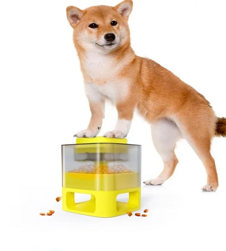 Training Feeder For Pets Dogs Dispenser