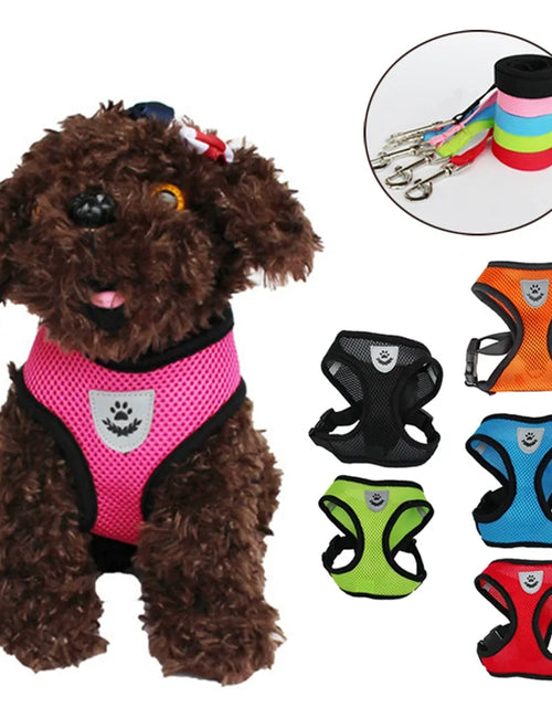 Load image into Gallery viewer, Pets Adjustable Harness Vest
