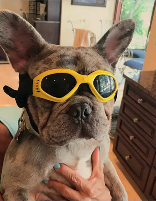 Load image into Gallery viewer, Dog Sunglasses
