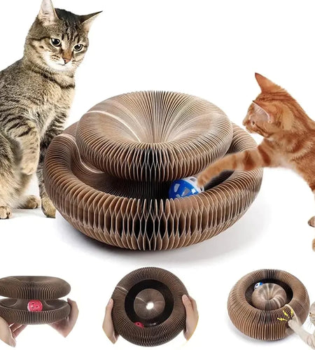 Magic Organ Cats Scratcher Toy