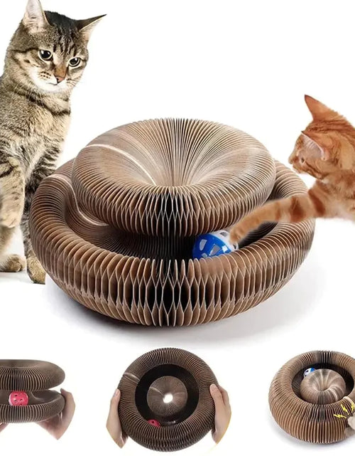 Load image into Gallery viewer, Magic Organ Cats Scratcher Toy
