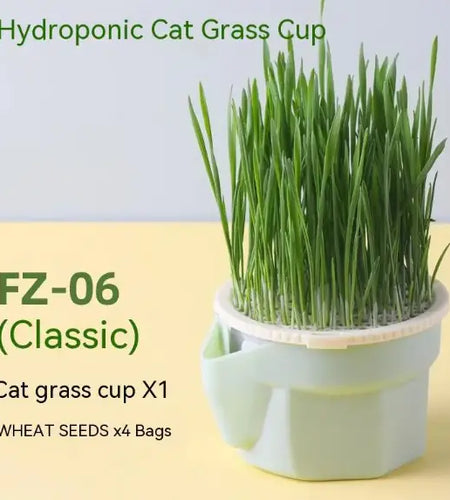 Cat Grass Cup