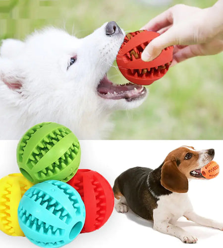 Interactive Pets Rubber Balls