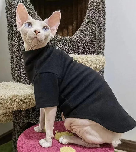 Warm Winter Clothes for Sphynx Cats