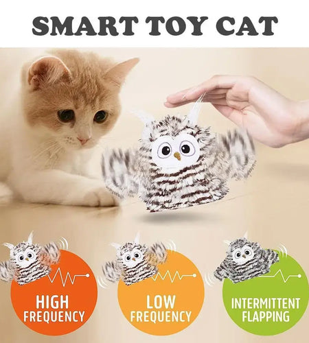 Owl Cat Toys