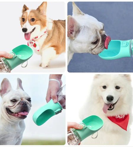 Drinking Bottle Dogs Feeder