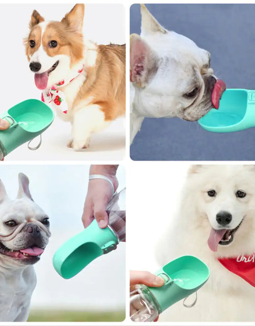 Load image into Gallery viewer, Drinking Bottle Dogs Feeder
