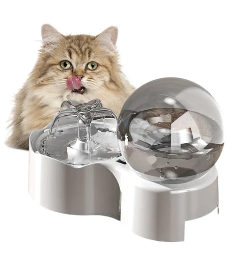 Cats and Dogs Bowl