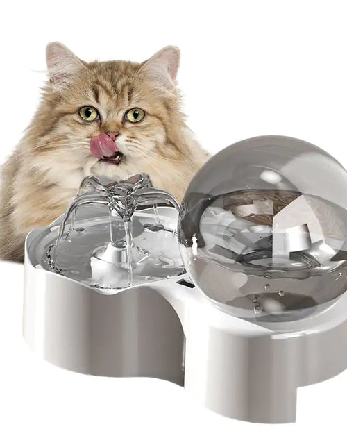 Load image into Gallery viewer, Cats and Dogs Bowl
