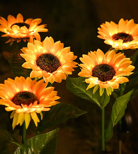 Sunflowers Solar Lawn Light