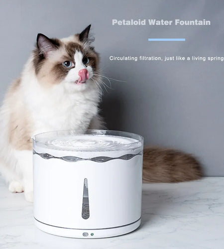 Five Layer Water Dispenser For Pets