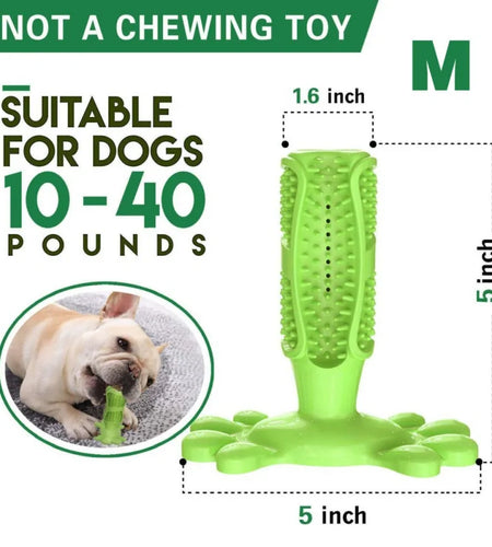 Rubber Dog Chew Toys