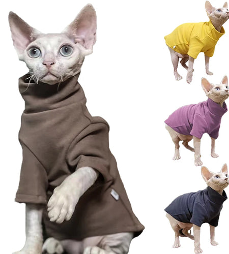 Warm Winter Clothes for Sphynx Cats