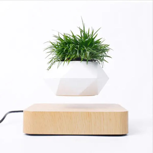 Load image into Gallery viewer, Levitating Air Bonsai Pot
