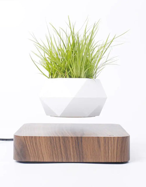 Load image into Gallery viewer, Levitating Air Bonsai Pot
