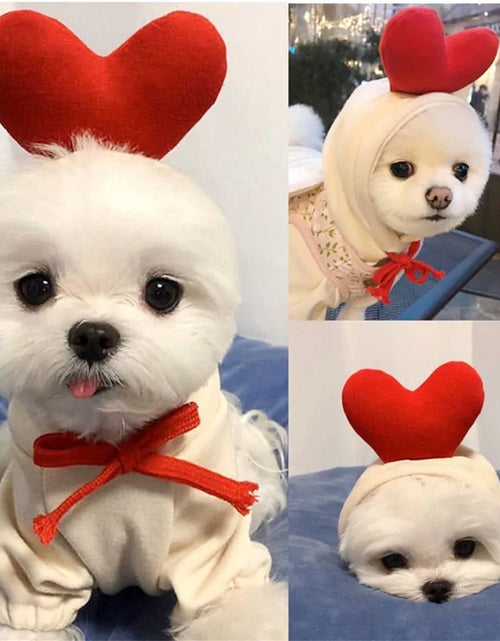 Load image into Gallery viewer, Warm Dog Winter Clothes Cute Fruit Dog

