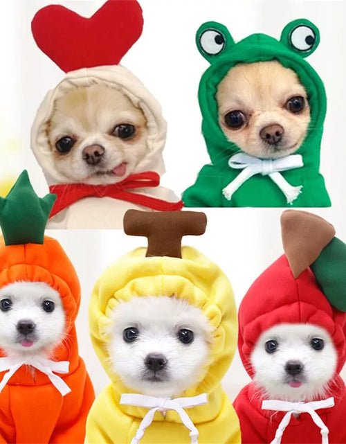 Load image into Gallery viewer, Warm Dog Winter Clothes Cute Fruit Dog
