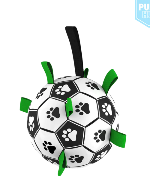 Load image into Gallery viewer, Interactive Dog Football
