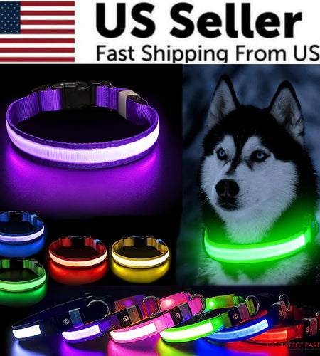 LED Adjustable Dog Collar Blinking Flashing Light Up Glow Pets Safety Waterproof