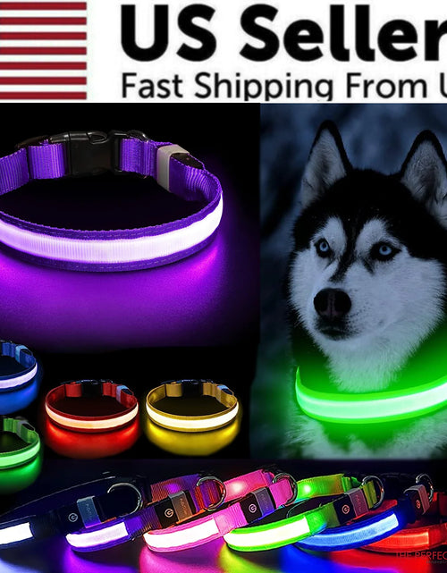 Load image into Gallery viewer, LED Adjustable Dog Collar Blinking Flashing Light Up Glow Pets Safety Waterproof
