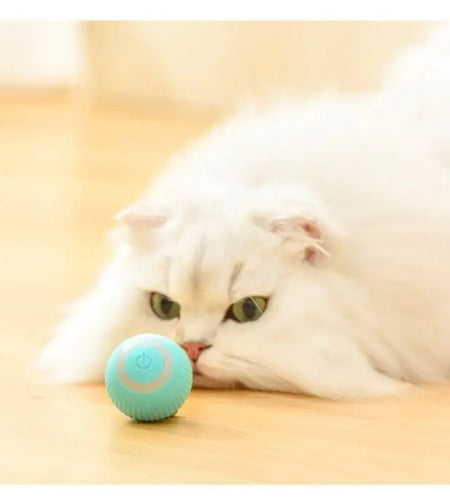 Interactive Magic Ball For Cats