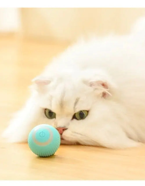 Load image into Gallery viewer, Interactive Magic Ball For Cats
