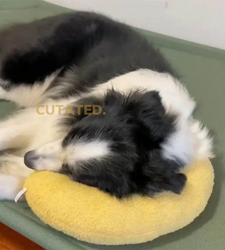 Fashion U-Shaped Neck Protector For Cats