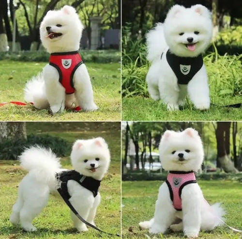 Load image into Gallery viewer, Dog Harness
