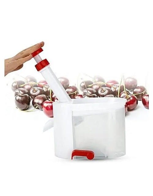 Load image into Gallery viewer, Core Seed Remover Fruit Stone Extractor
