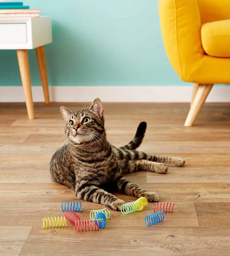 PRIMI PETS™ - Spring Cat Toy