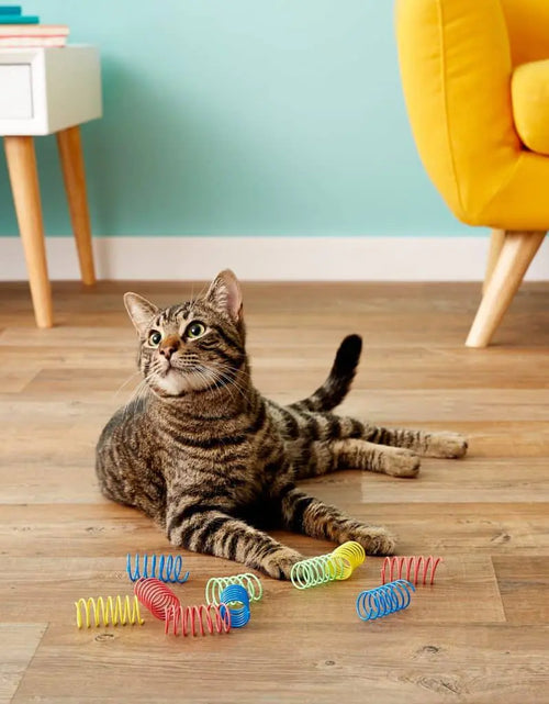 Load image into Gallery viewer, PRIMI PETS™ - Spring Cat Toy
