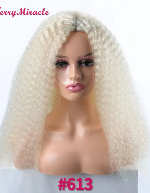 Load image into Gallery viewer, Afro Kinky Curly Hair Wigs
