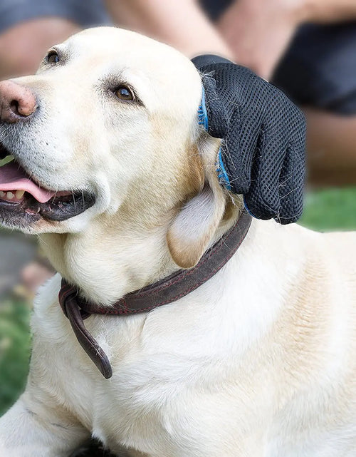 Load image into Gallery viewer, Anti-Hair Grooming Glove for Pets
