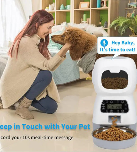 Automatic Dogs Cats Feeder